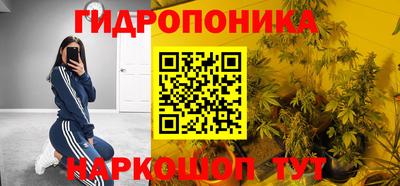крисы Мариинск