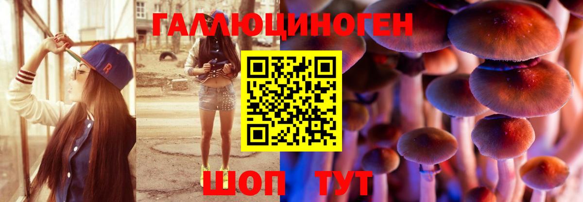 Псилоцибиновые грибы Psilocybe  Вход с VPN  Зеленодольск 