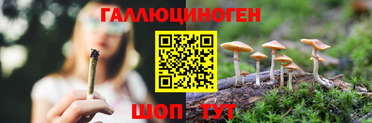 Галлюциногенные грибы ЛСД Зеленодольск